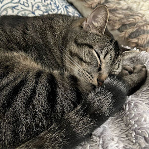 Meet your Posher, Spencer